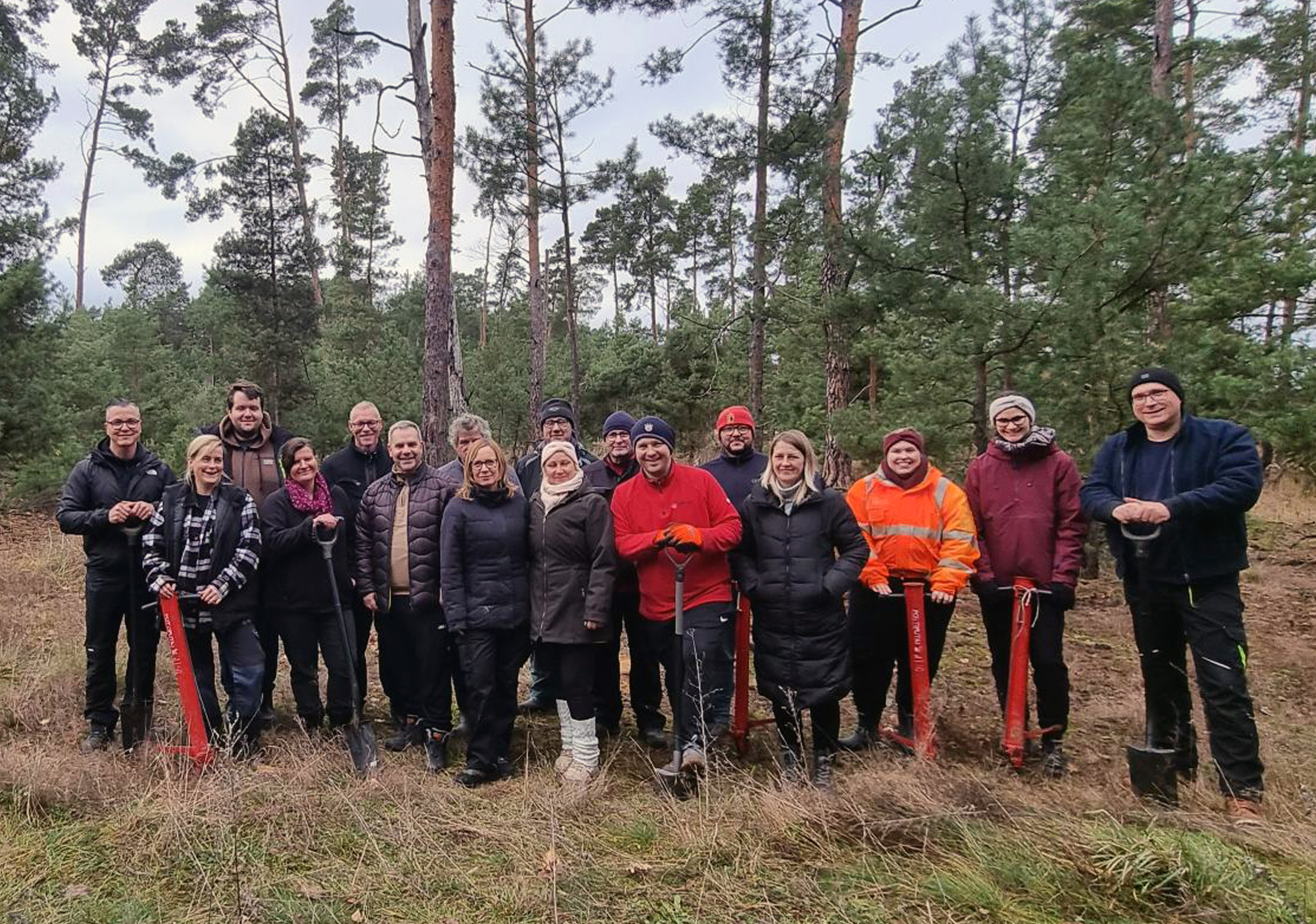 Gruppenfoto, Leute, Vegetation, Baum, Wald